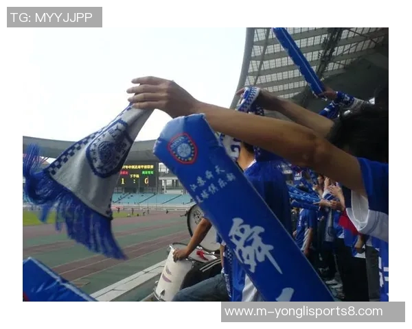 足球转会费的背后真相与市场动态分析探讨